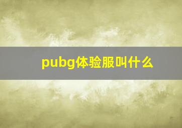 pubg体验服叫什么