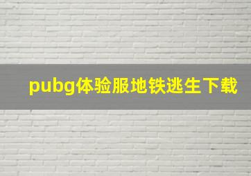 pubg体验服地铁逃生下载