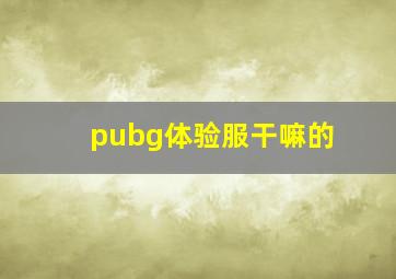 pubg体验服干嘛的