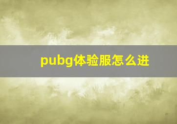 pubg体验服怎么进