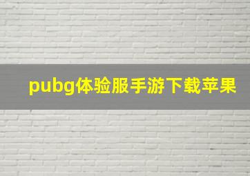 pubg体验服手游下载苹果