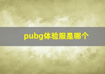 pubg体验服是哪个