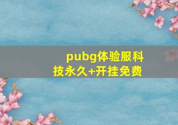 pubg体验服科技永久+开挂免费