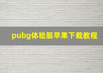 pubg体验服苹果下载教程