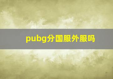 pubg分国服外服吗