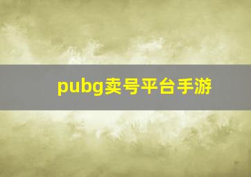 pubg卖号平台手游