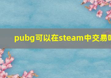 pubg可以在steam中交易吗