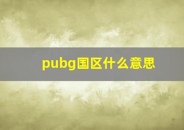 pubg国区什么意思