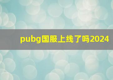 pubg国服上线了吗2024