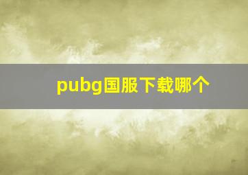 pubg国服下载哪个