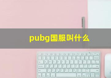 pubg国服叫什么