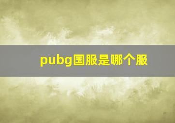 pubg国服是哪个服