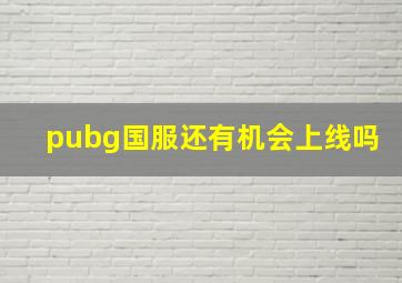 pubg国服还有机会上线吗