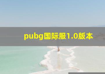 pubg国际服1.0版本