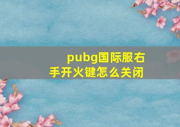 pubg国际服右手开火键怎么关闭