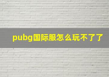 pubg国际服怎么玩不了了