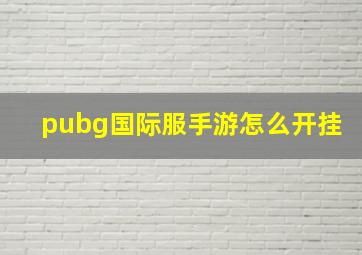 pubg国际服手游怎么开挂