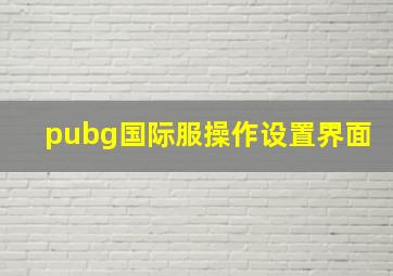 pubg国际服操作设置界面