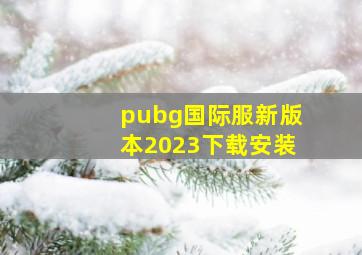 pubg国际服新版本2023下载安装