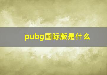 pubg国际版是什么