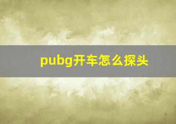 pubg开车怎么探头