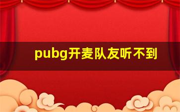 pubg开麦队友听不到