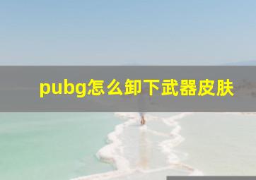 pubg怎么卸下武器皮肤