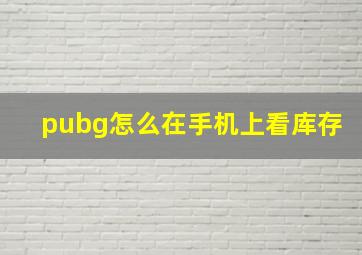 pubg怎么在手机上看库存