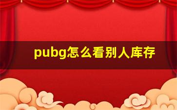 pubg怎么看别人库存