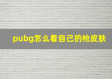 pubg怎么看自己的枪皮肤