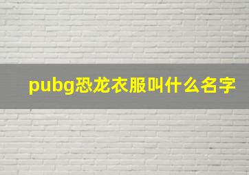 pubg恐龙衣服叫什么名字