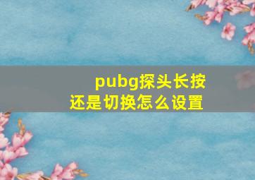 pubg探头长按还是切换怎么设置