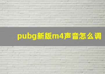 pubg新版m4声音怎么调