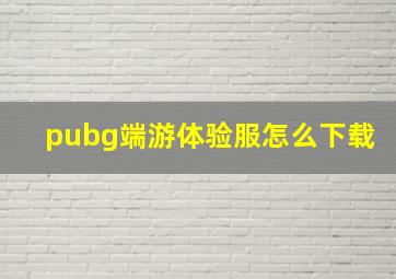 pubg端游体验服怎么下载