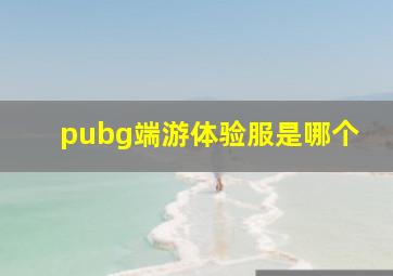 pubg端游体验服是哪个