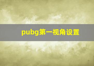 pubg第一视角设置