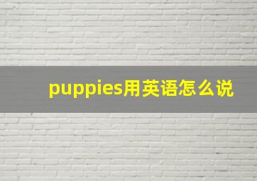 puppies用英语怎么说