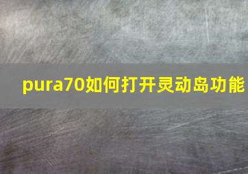 pura70如何打开灵动岛功能