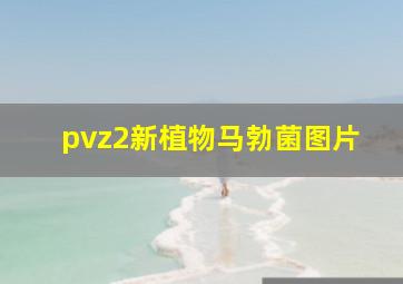 pvz2新植物马勃菌图片