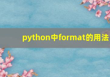 python中format的用法