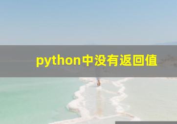 python中没有返回值