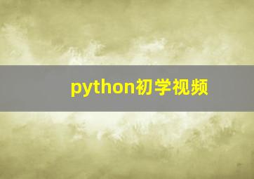 python初学视频