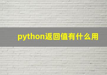 python返回值有什么用