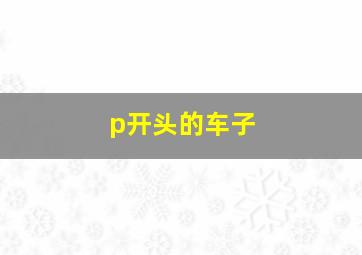 p开头的车子