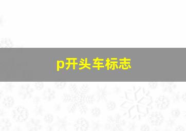 p开头车标志