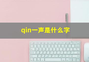 qin一声是什么字