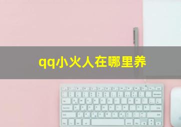 qq小火人在哪里养