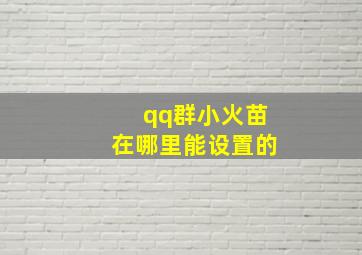 qq群小火苗在哪里能设置的