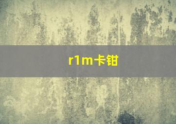 r1m卡钳