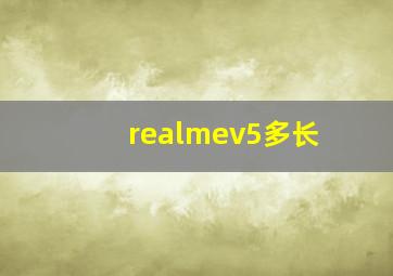 realmev5多长